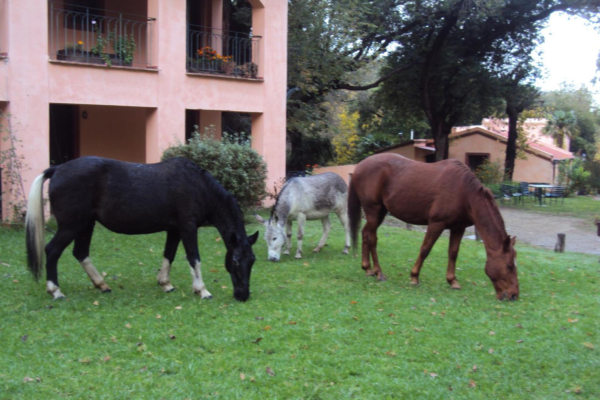 Hotel Loma Bola La Paz  Luaran gambar